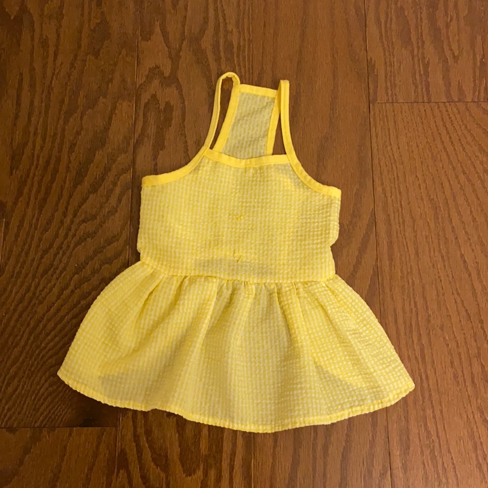 Dog’s dress
